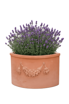 Preview: Angoliera festonata – klassischer, verzierter Eck-Wandtopf aus Impruneta-Terracotta